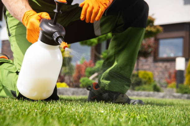 Best Best Pest Control Companies  in Houserville, PA