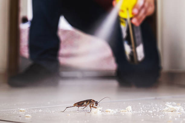Insect Control in Houserville, PA